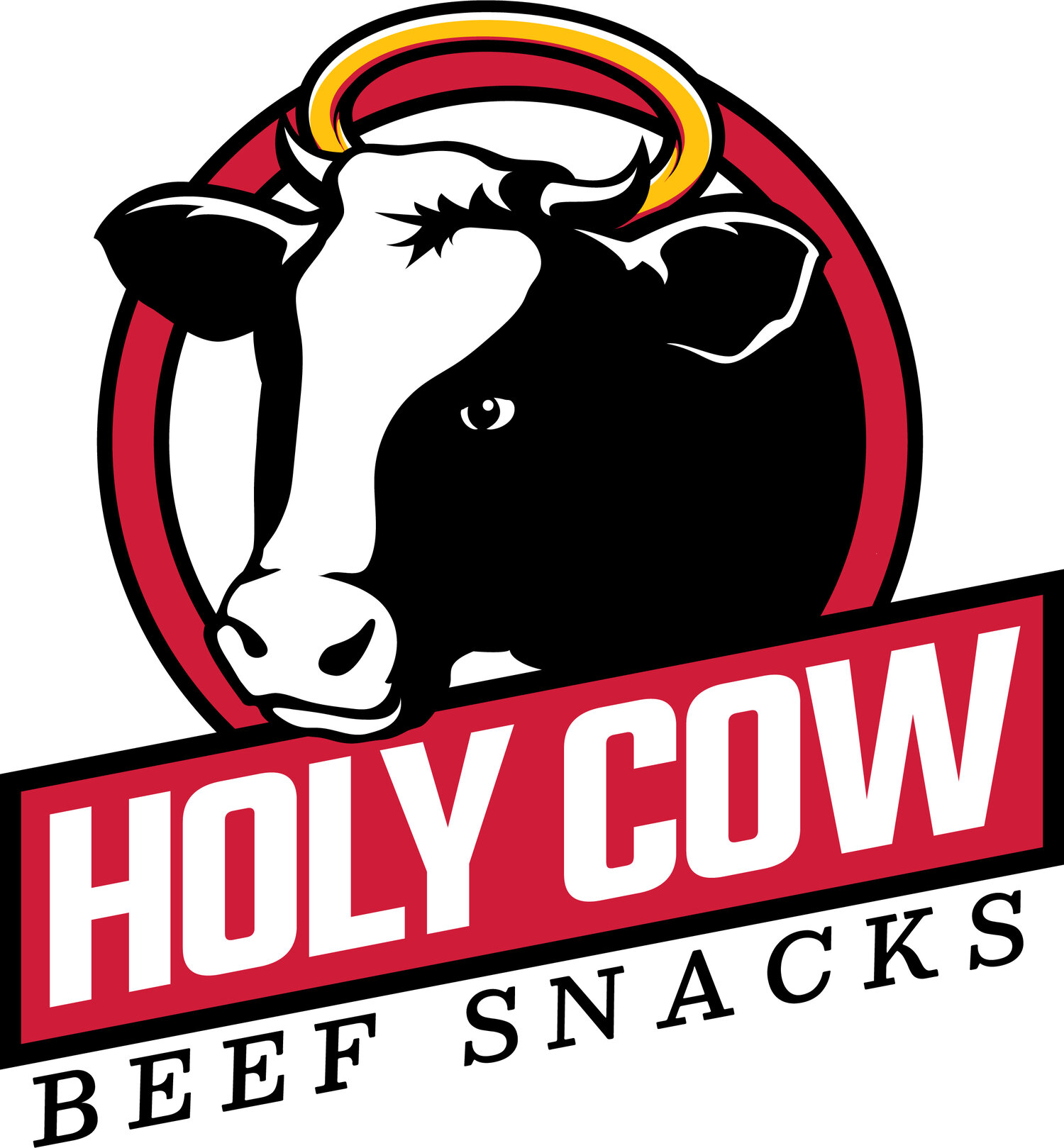 Holy Cow Beef Snacks