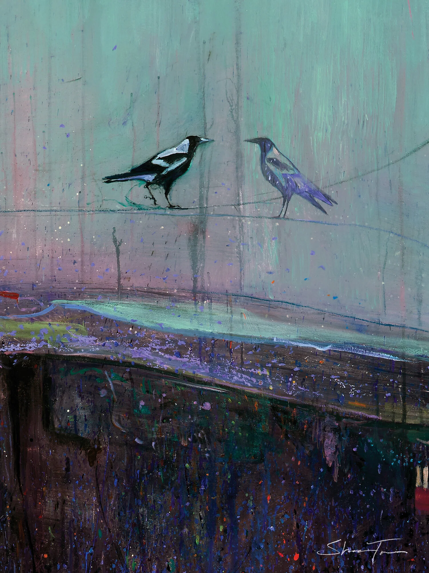 Shaun Tan Magpie Meets Itself Art For Wildlife