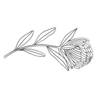 罗阿诺克-威尼斯432888-摄影师-flower.png