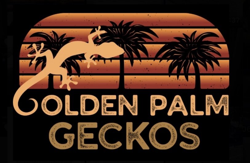 Golden Palm Geckos