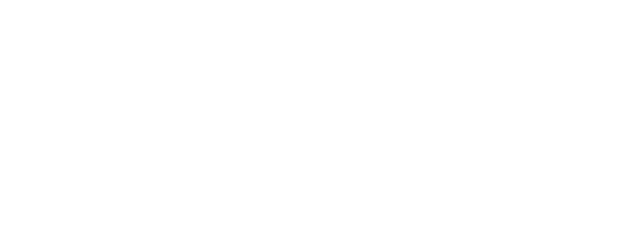 Impactful Videography by Talia Grace
