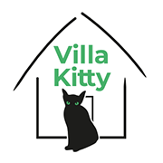 Villa Kitty Foundation | Caring for the lives of Bali&#39;s cats