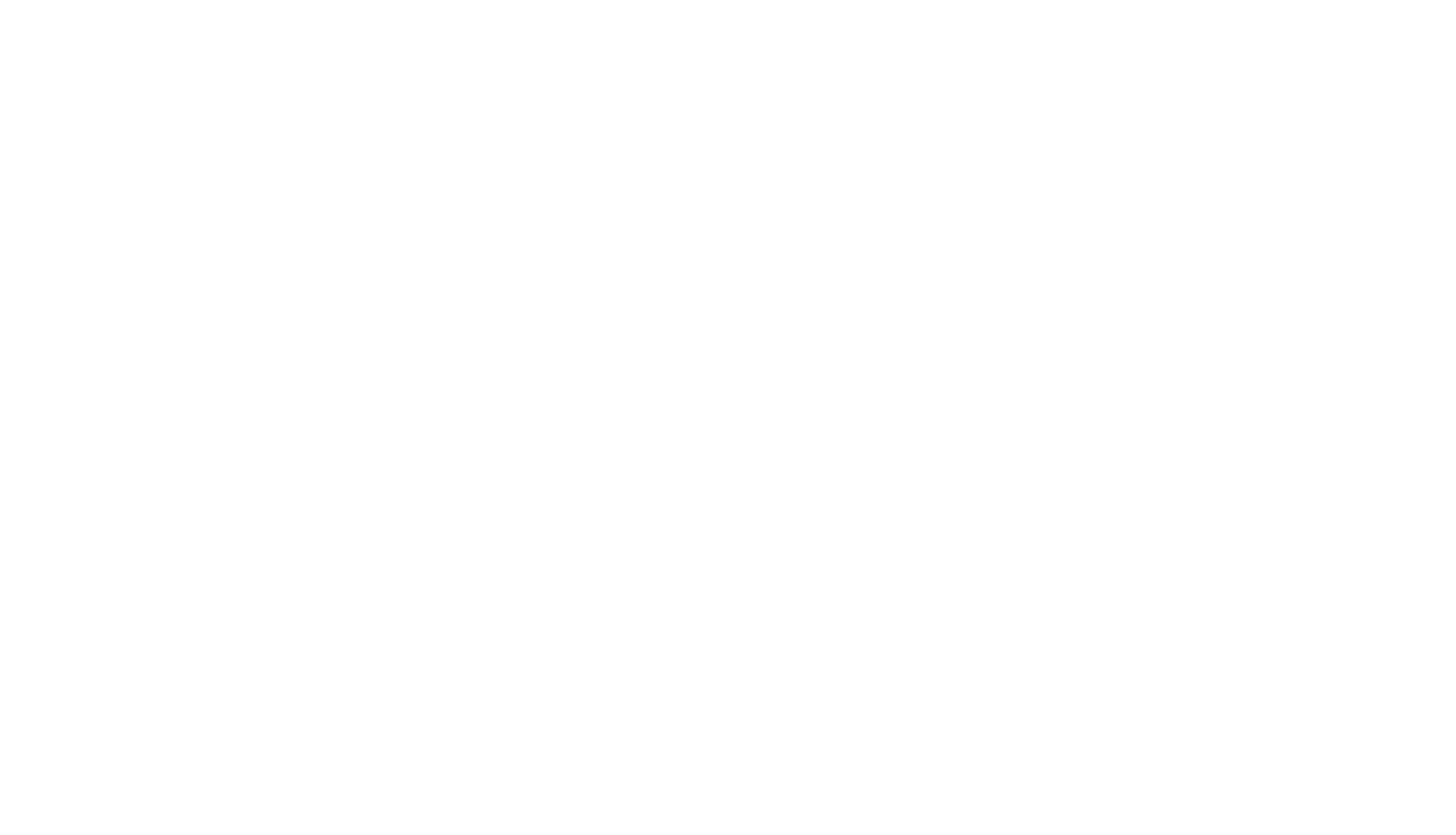 Baskerville Capital