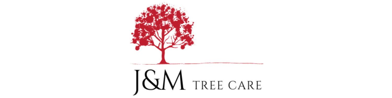 J&M Tree Care