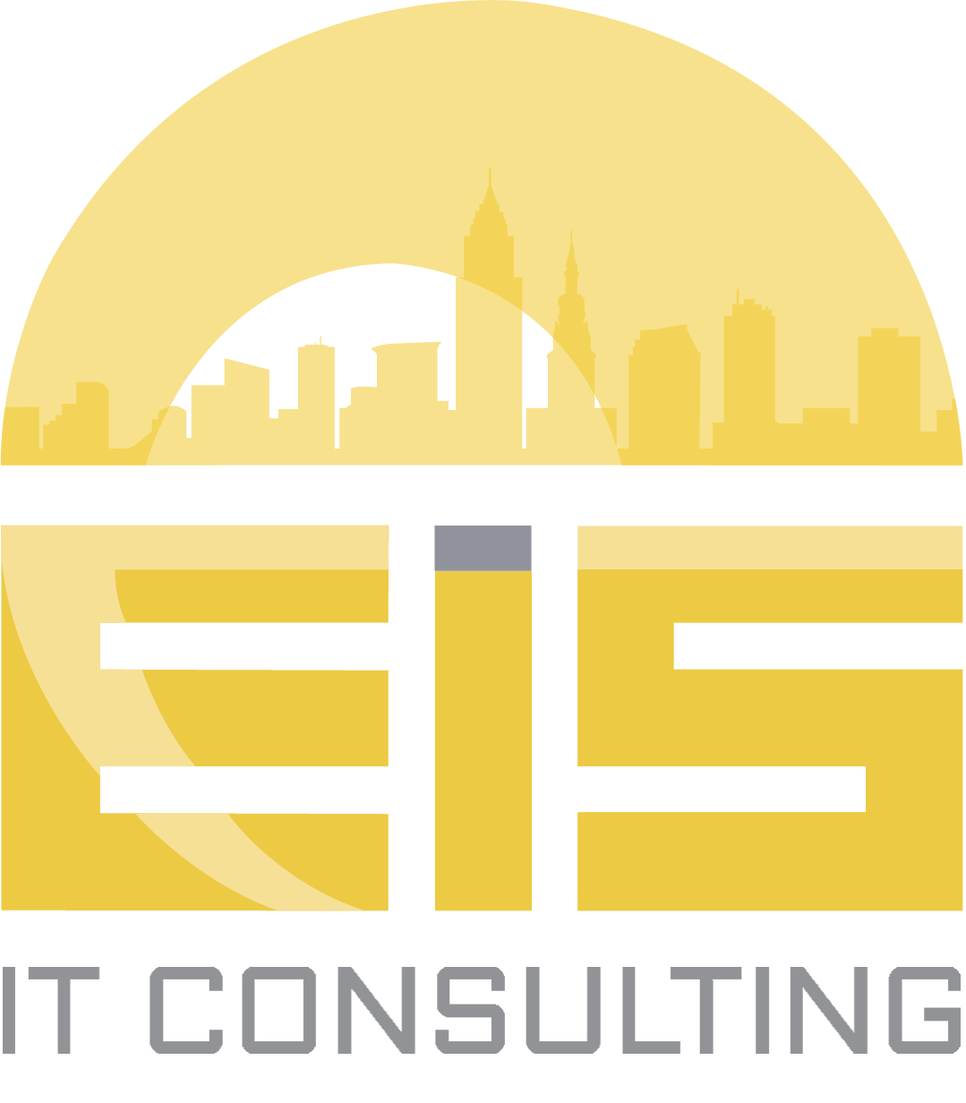 EIS IT Consulting