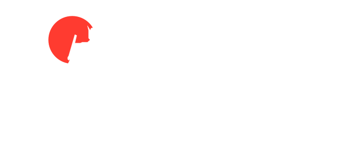 Time Tunnel Toys