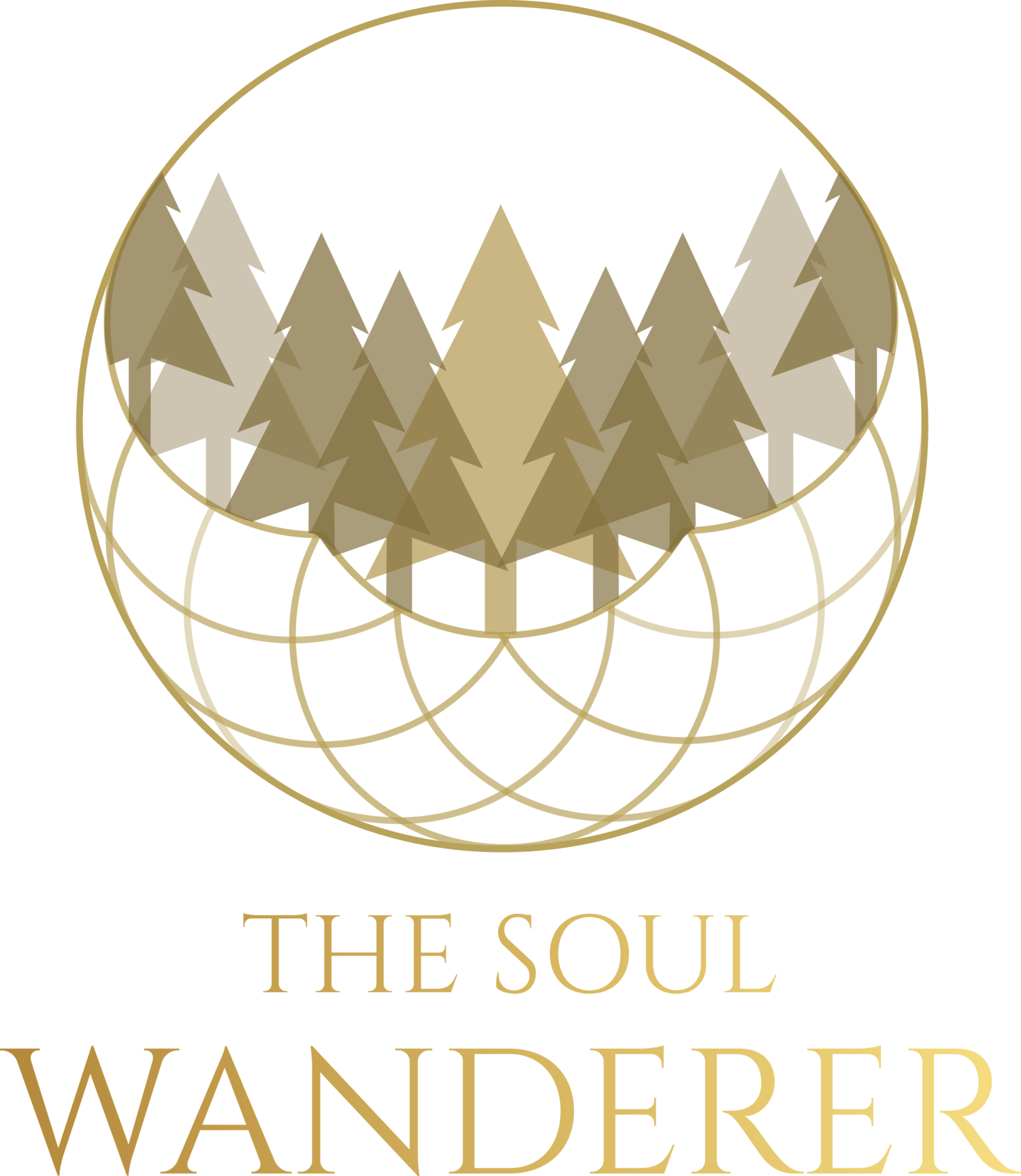 The Soul Wanderer