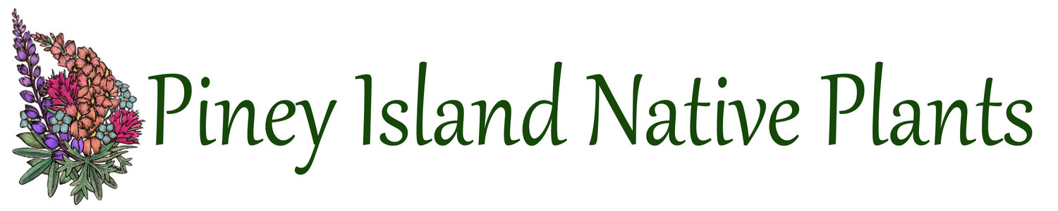 Piney Island Native Plants LLC