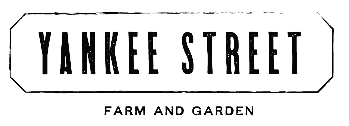 Yankee Street Farm