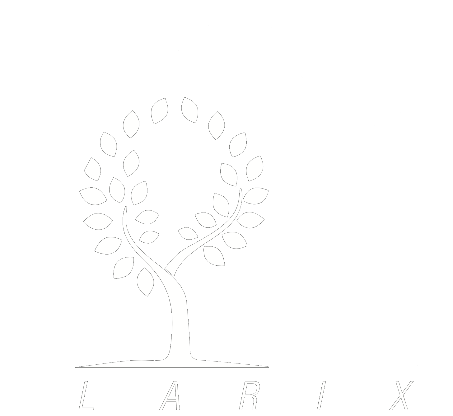 Larix