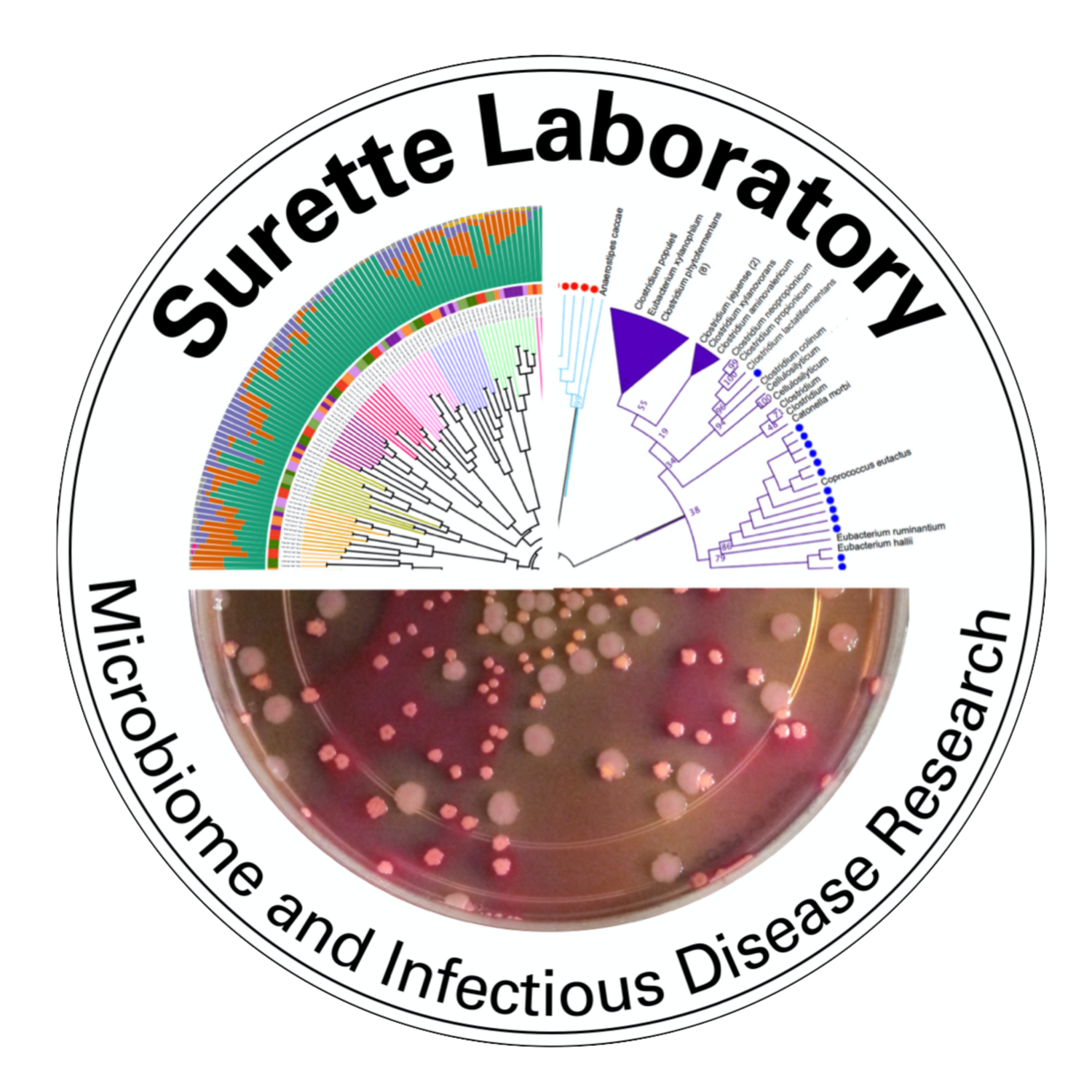 Michael G. Surette Laboratory