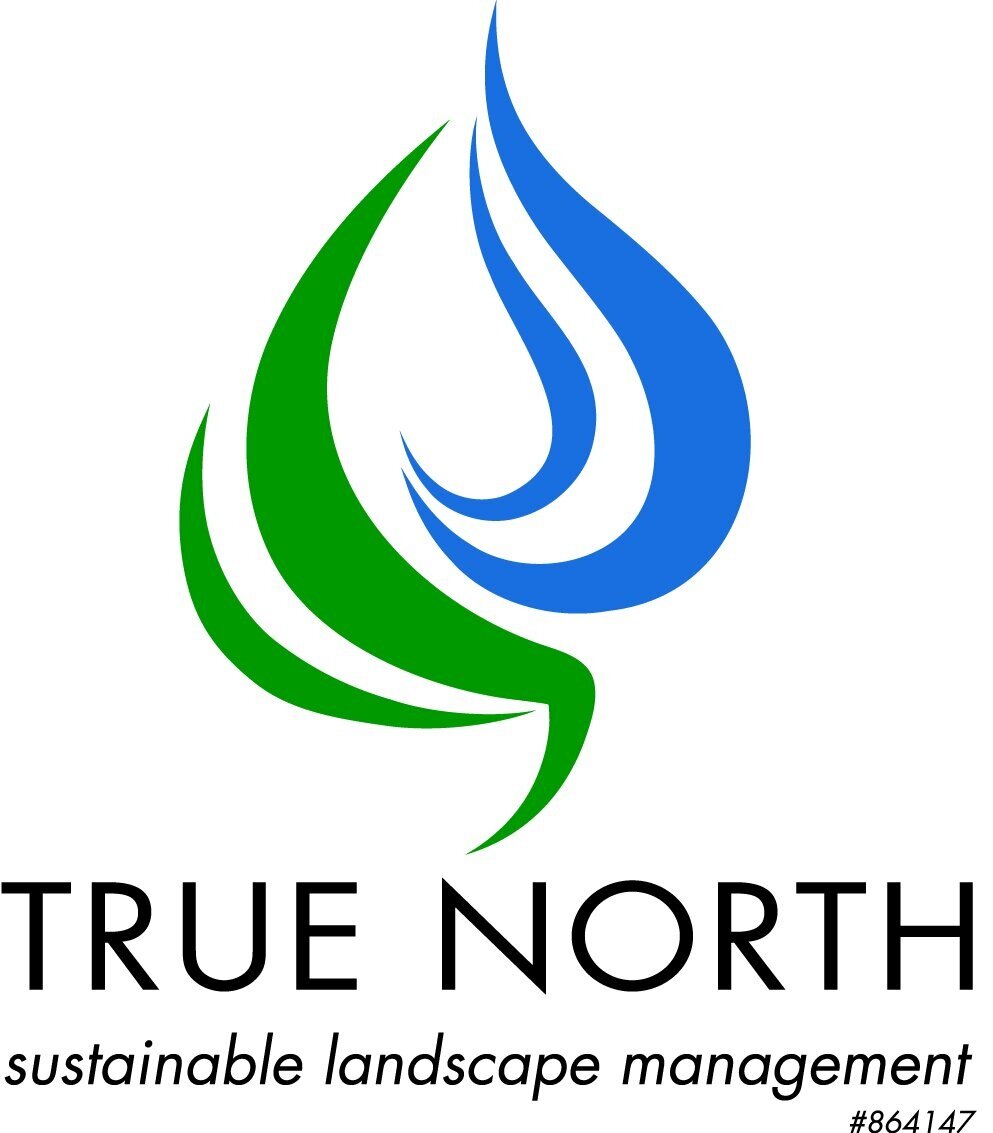 True North Landscapes