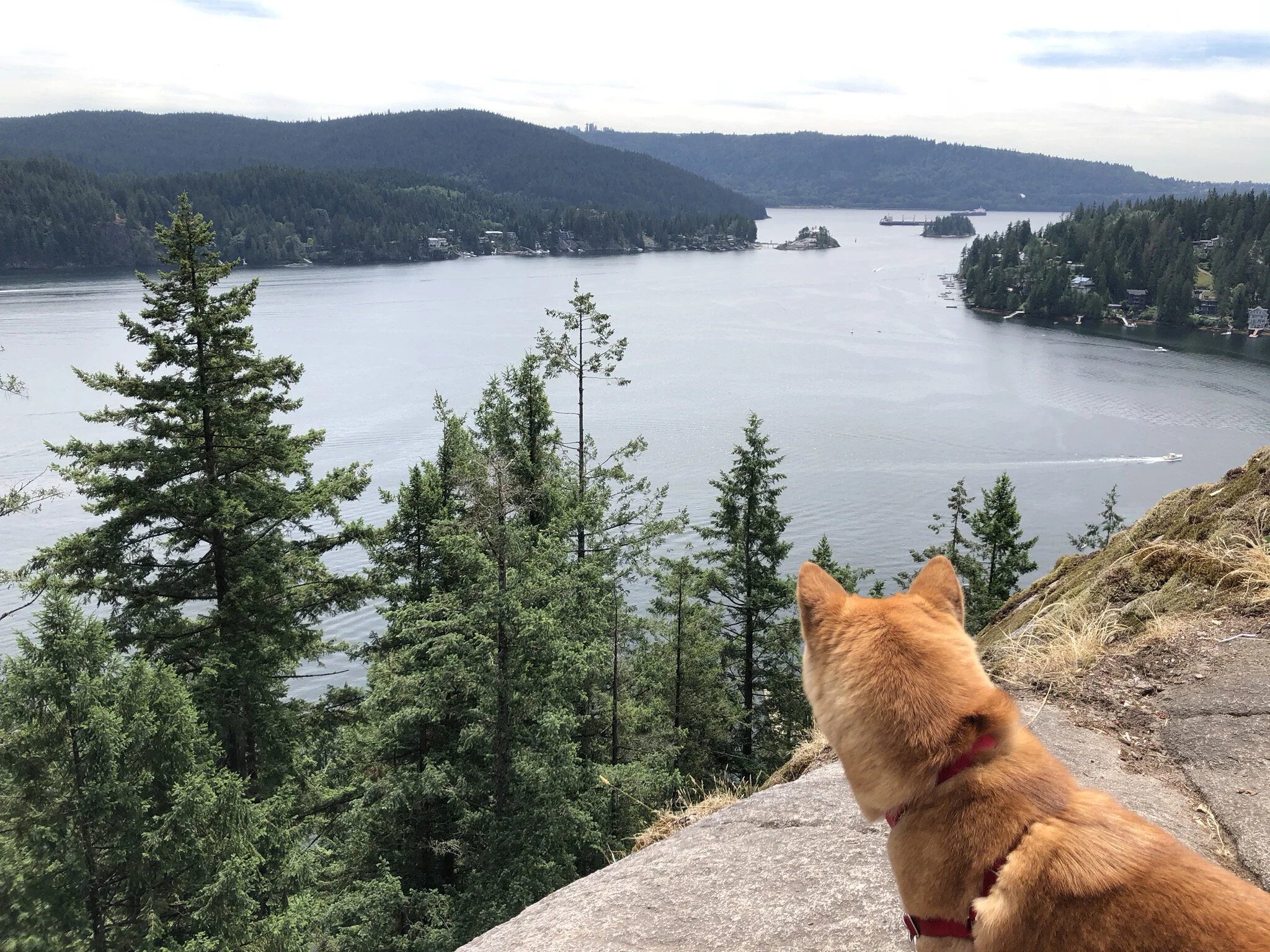 Quarry Rock, Deep Cove