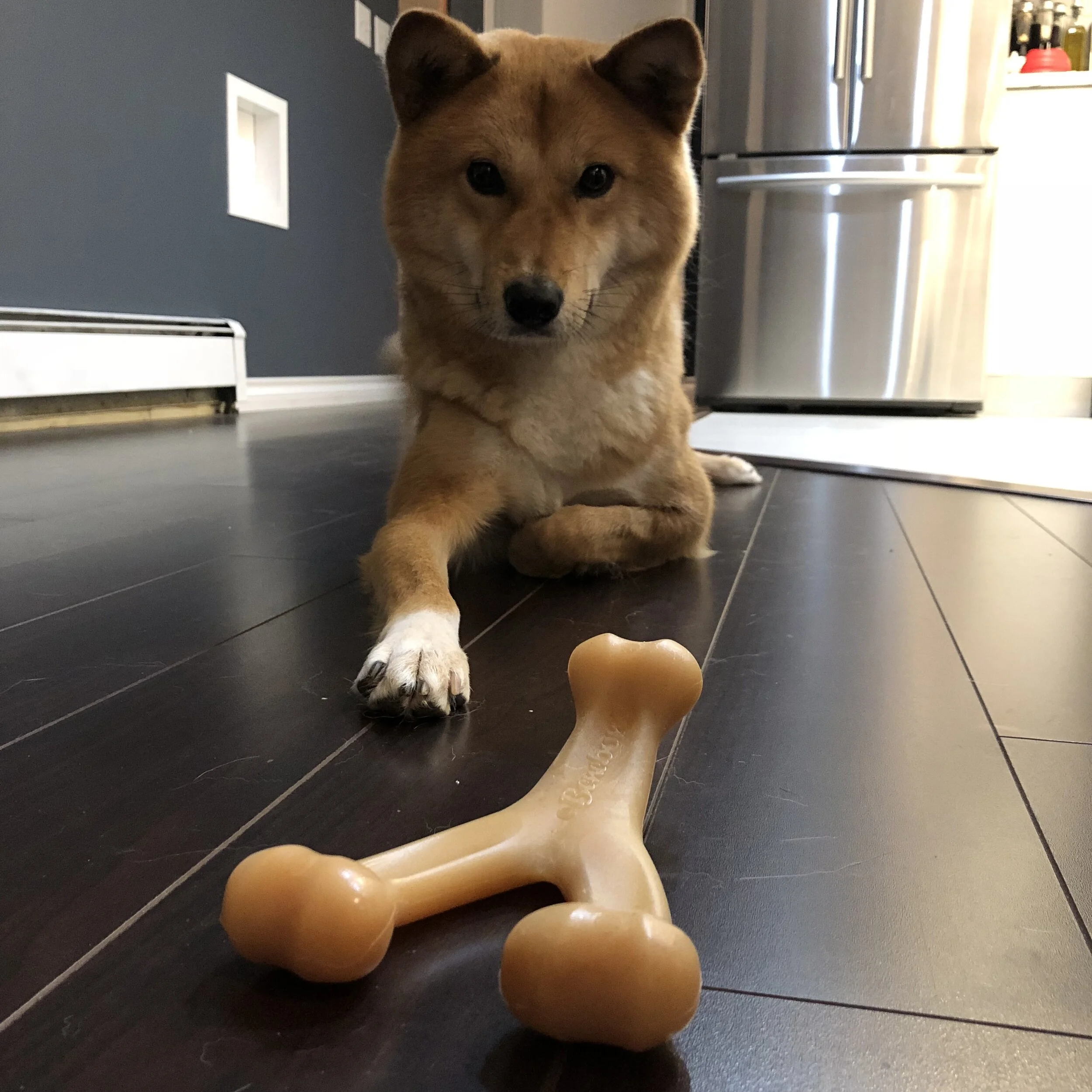 Product Review: BeneBone