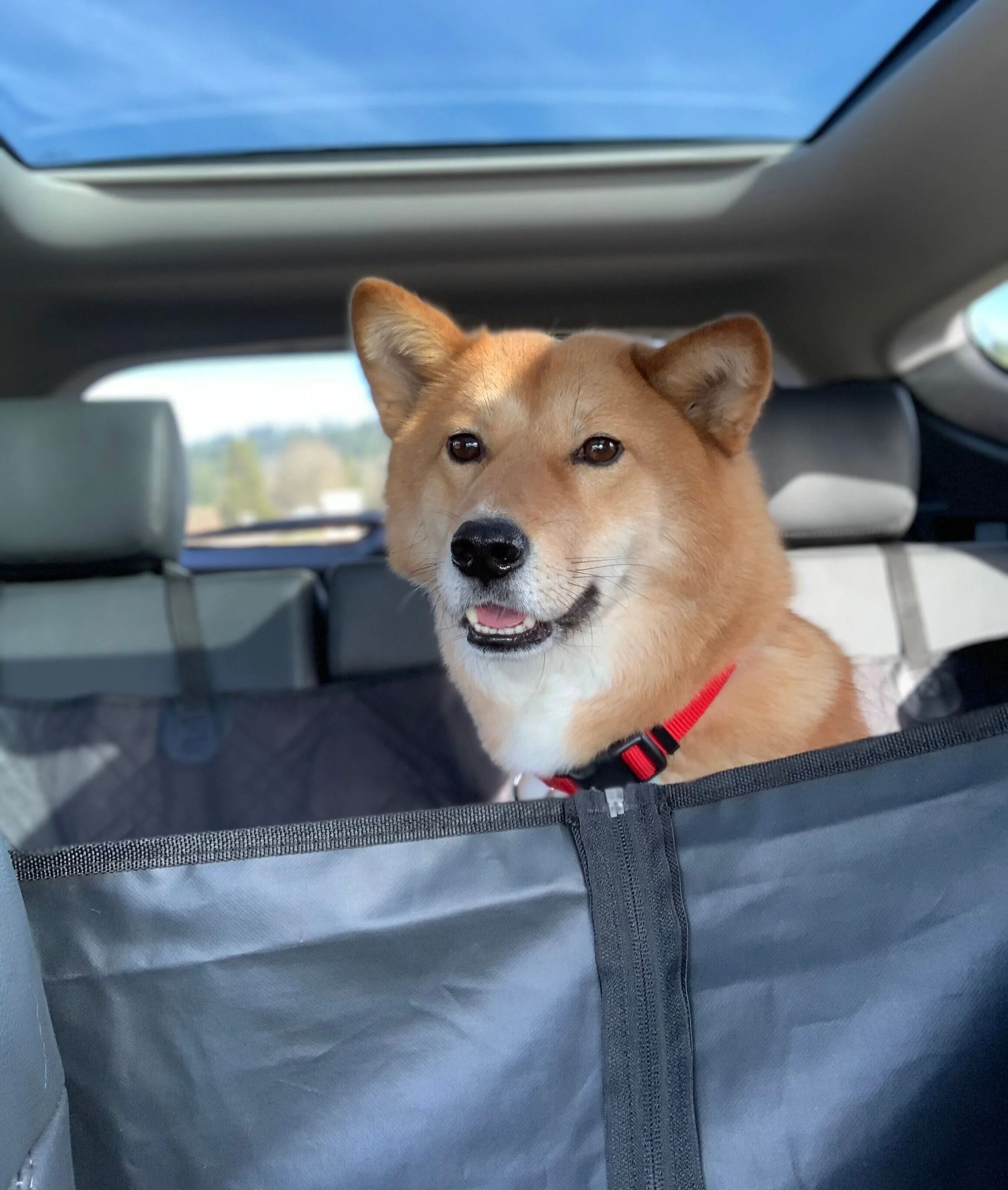 What does our car setup look like?