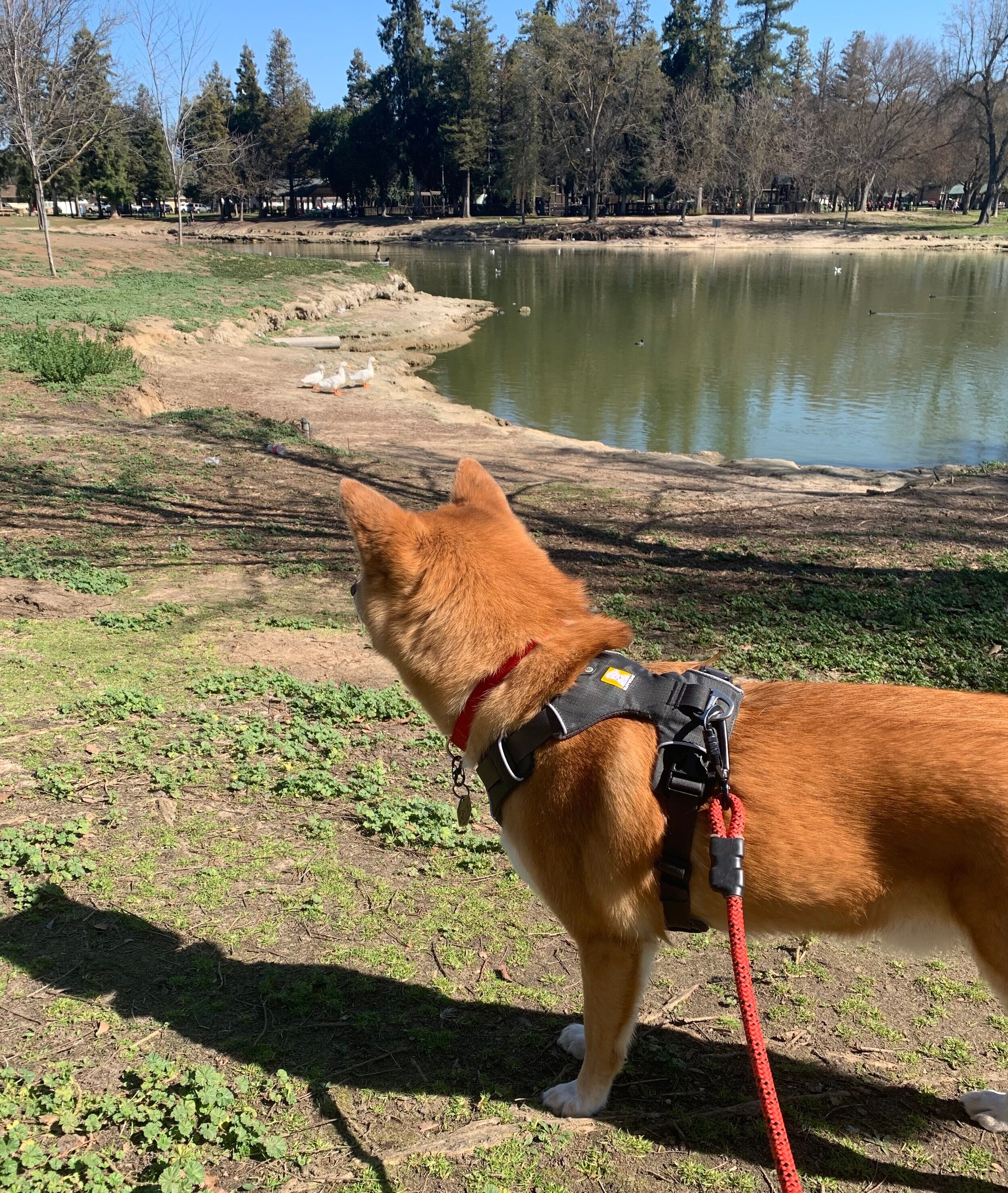 Donnelly Park, California