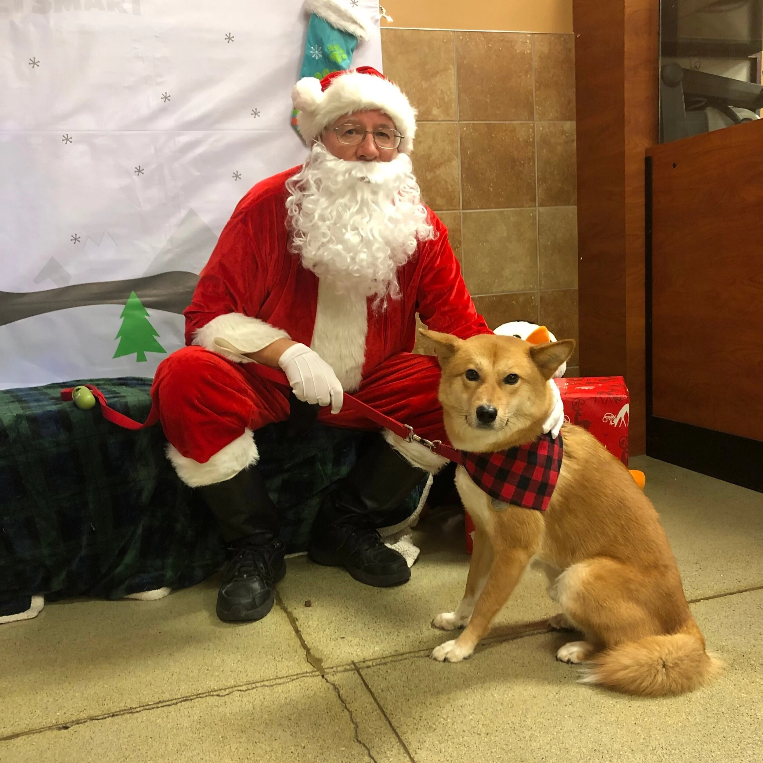 Meeting Santa Paws, Markus' Wish List and the Mean One