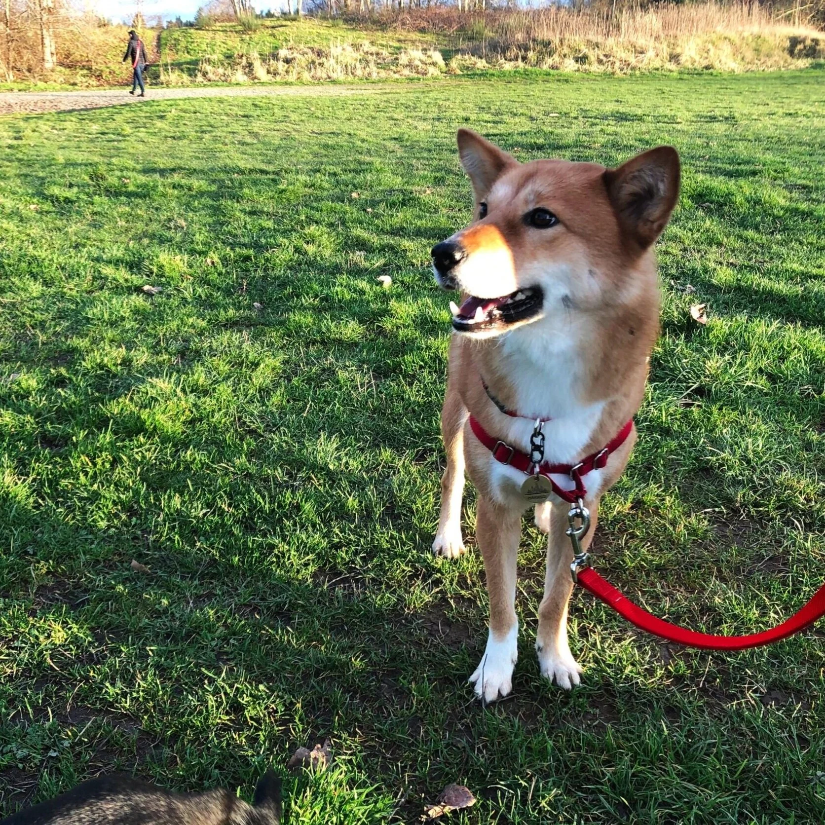 Markus the Escape Artist and the Raw Diet Thing