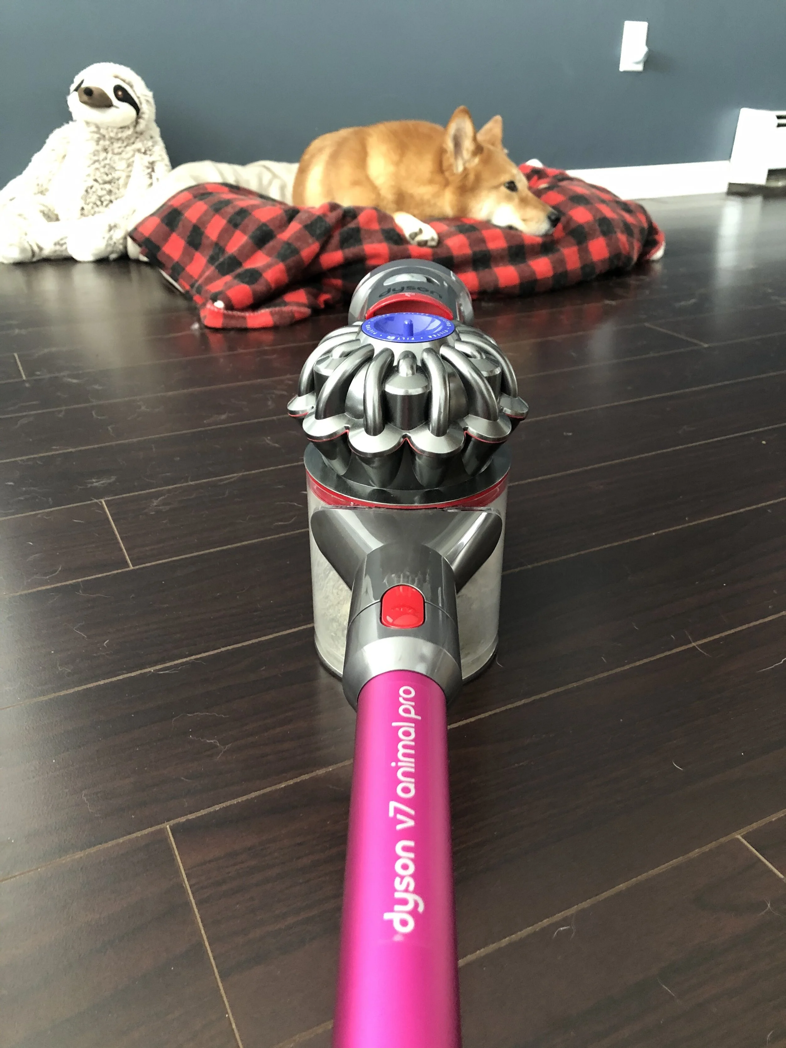 Product Review: Dyson V7 Animal Pro