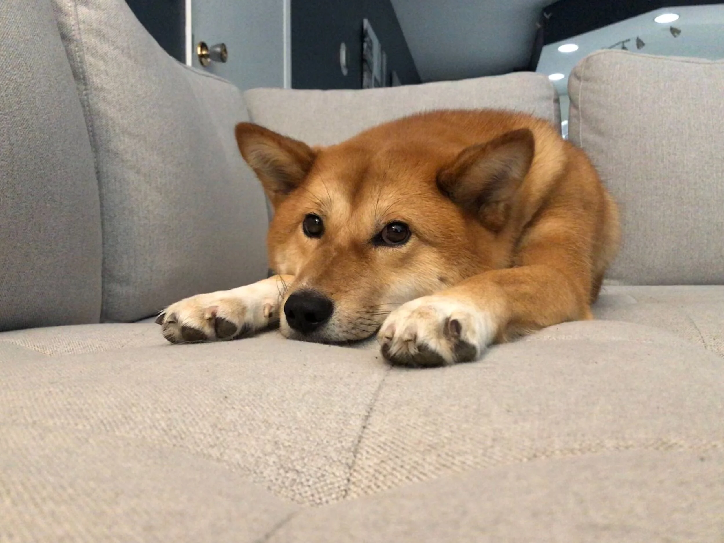 2020 New Year's Resolutions