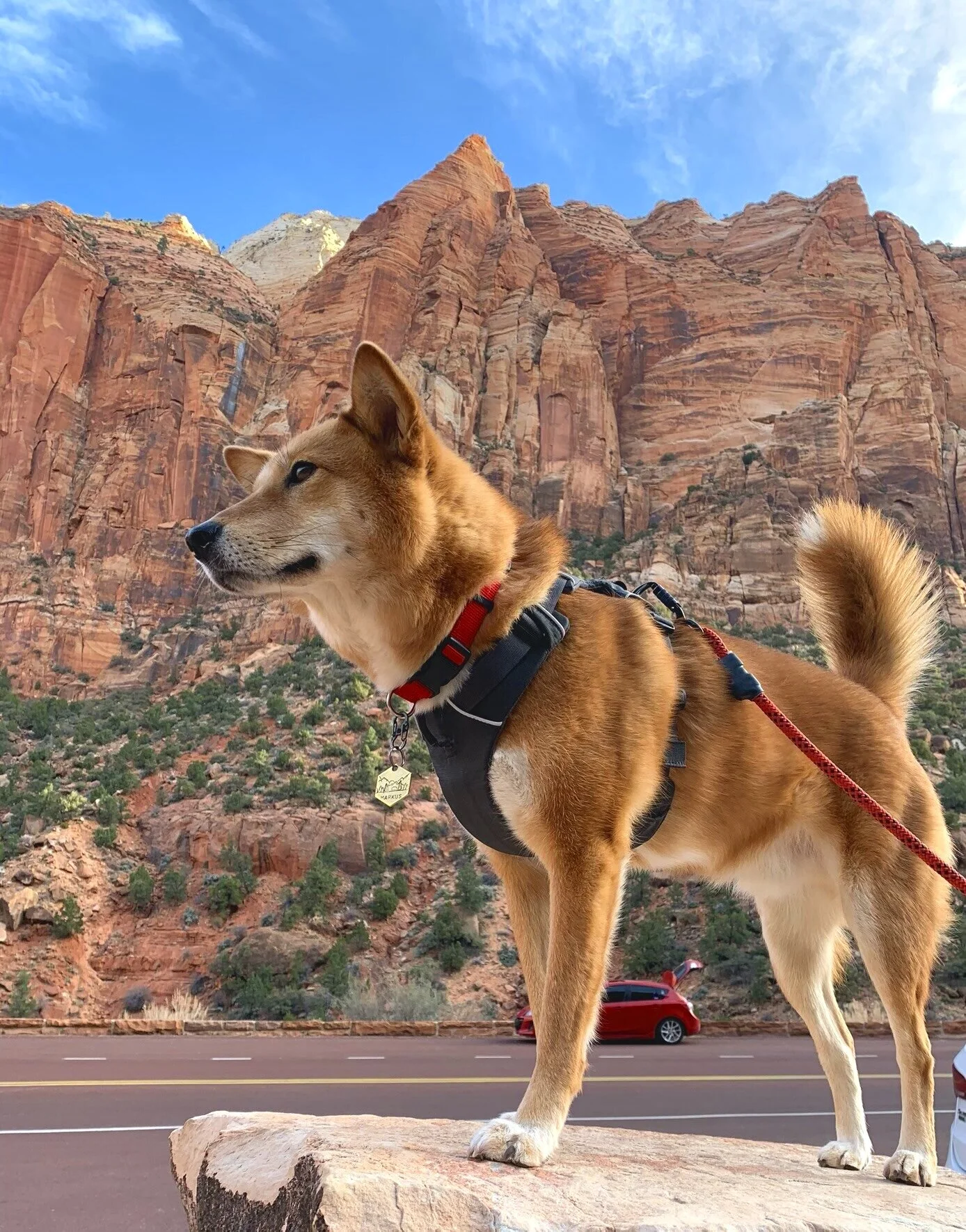 Zion National Park, Utah