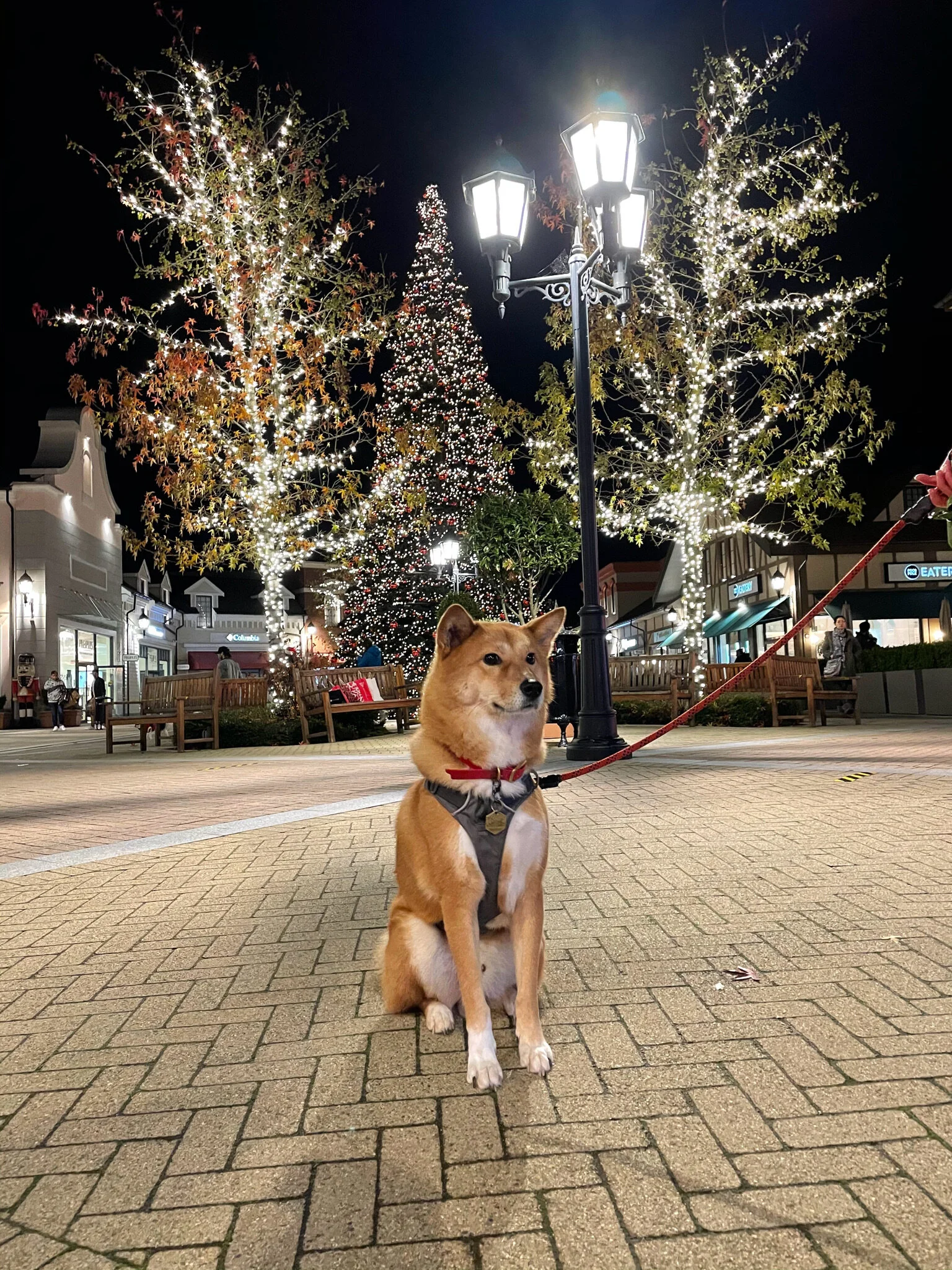 McArthurGlen Outlets