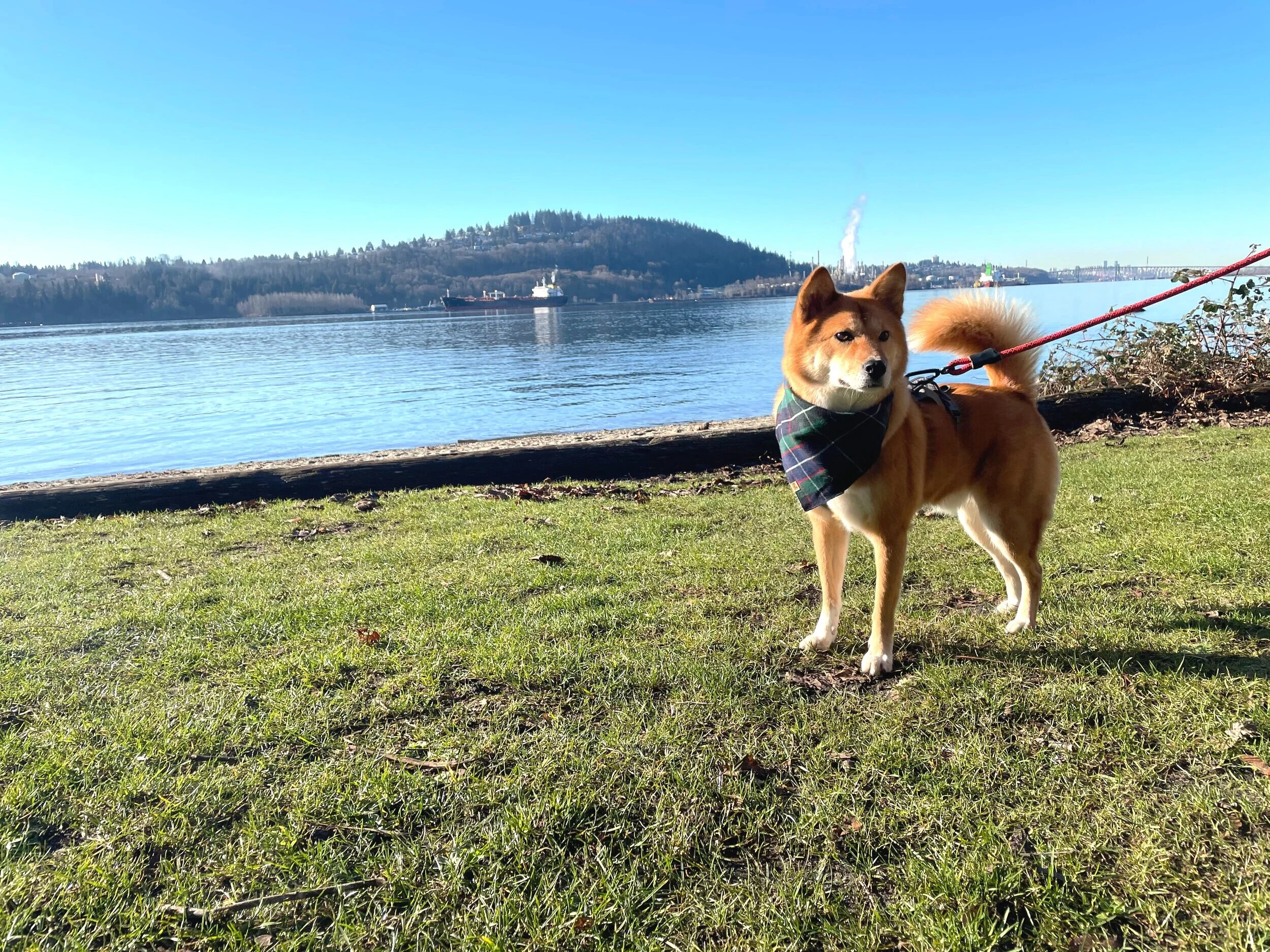 Cates Park