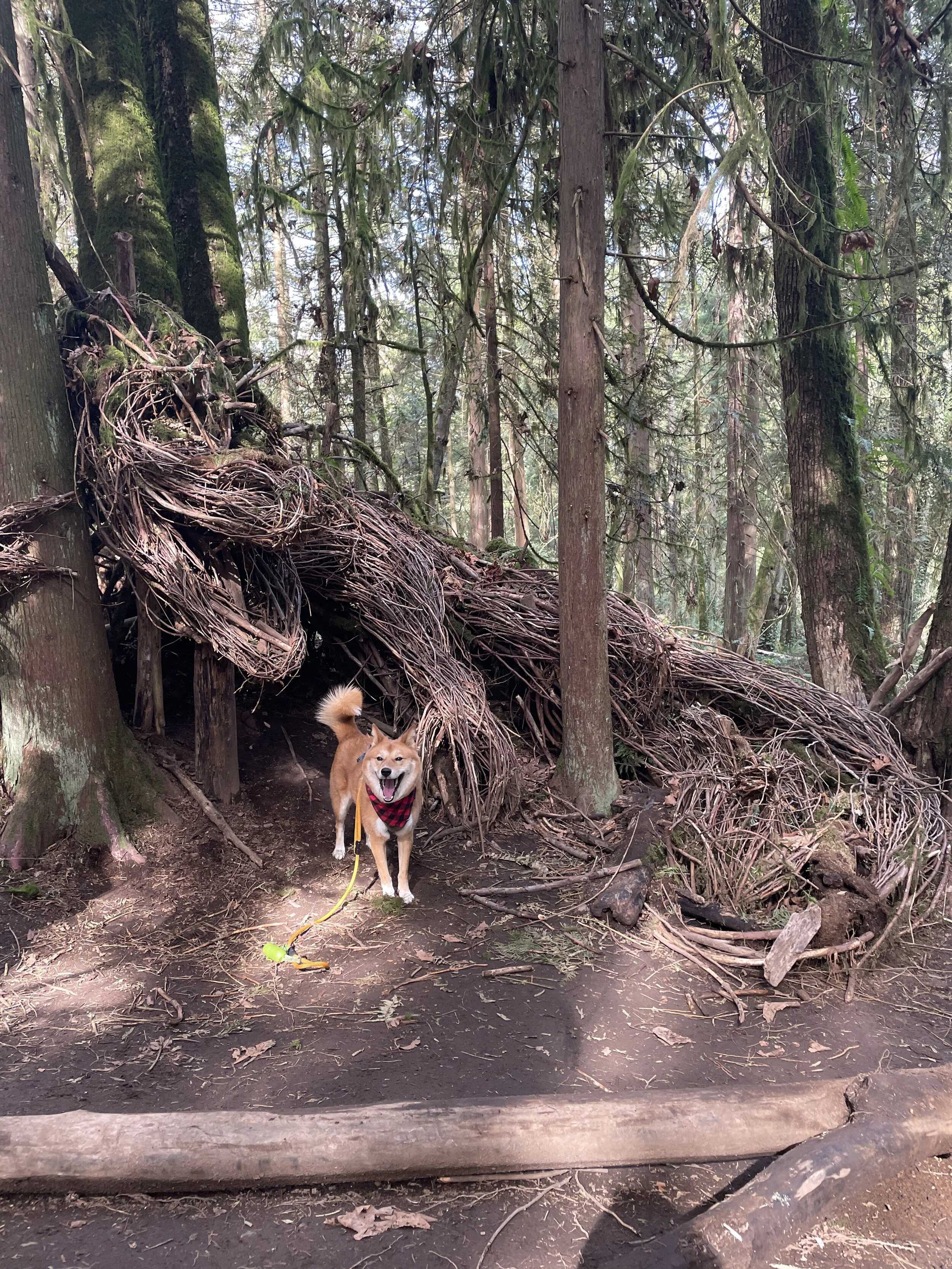 Robert Burnaby Park (and Mythical Creatures!)