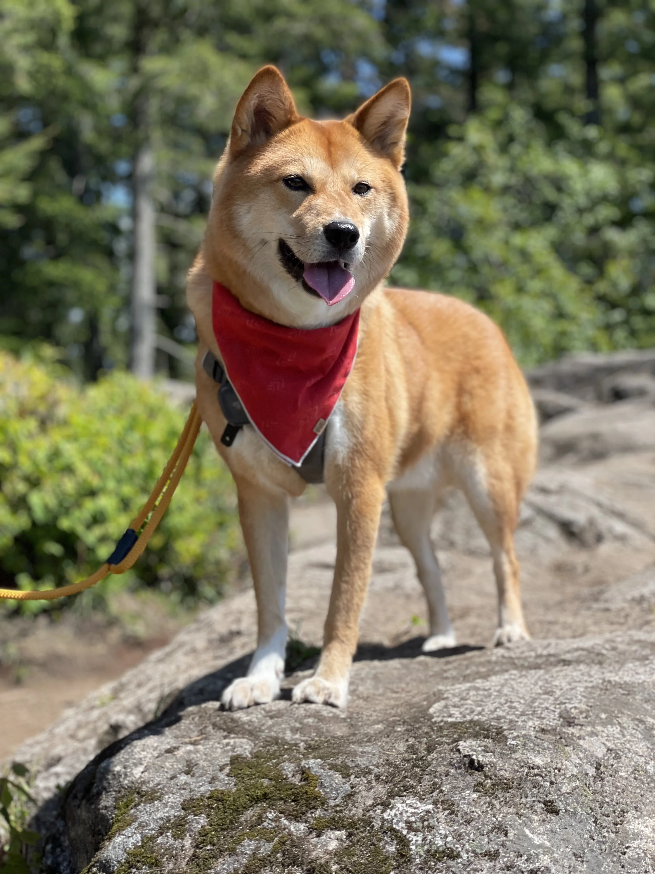 Minnekhada Regional Park