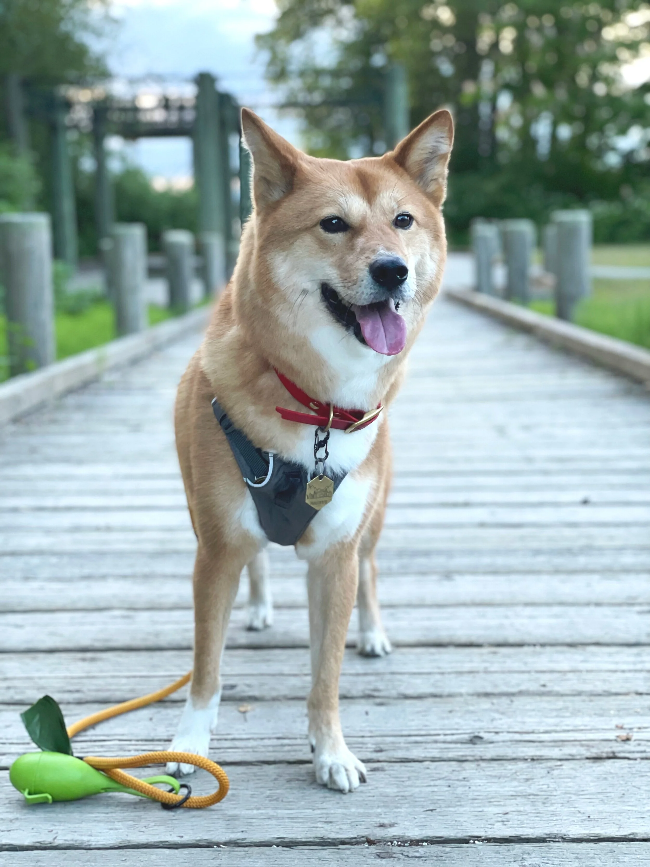 Deas Island Regional Park