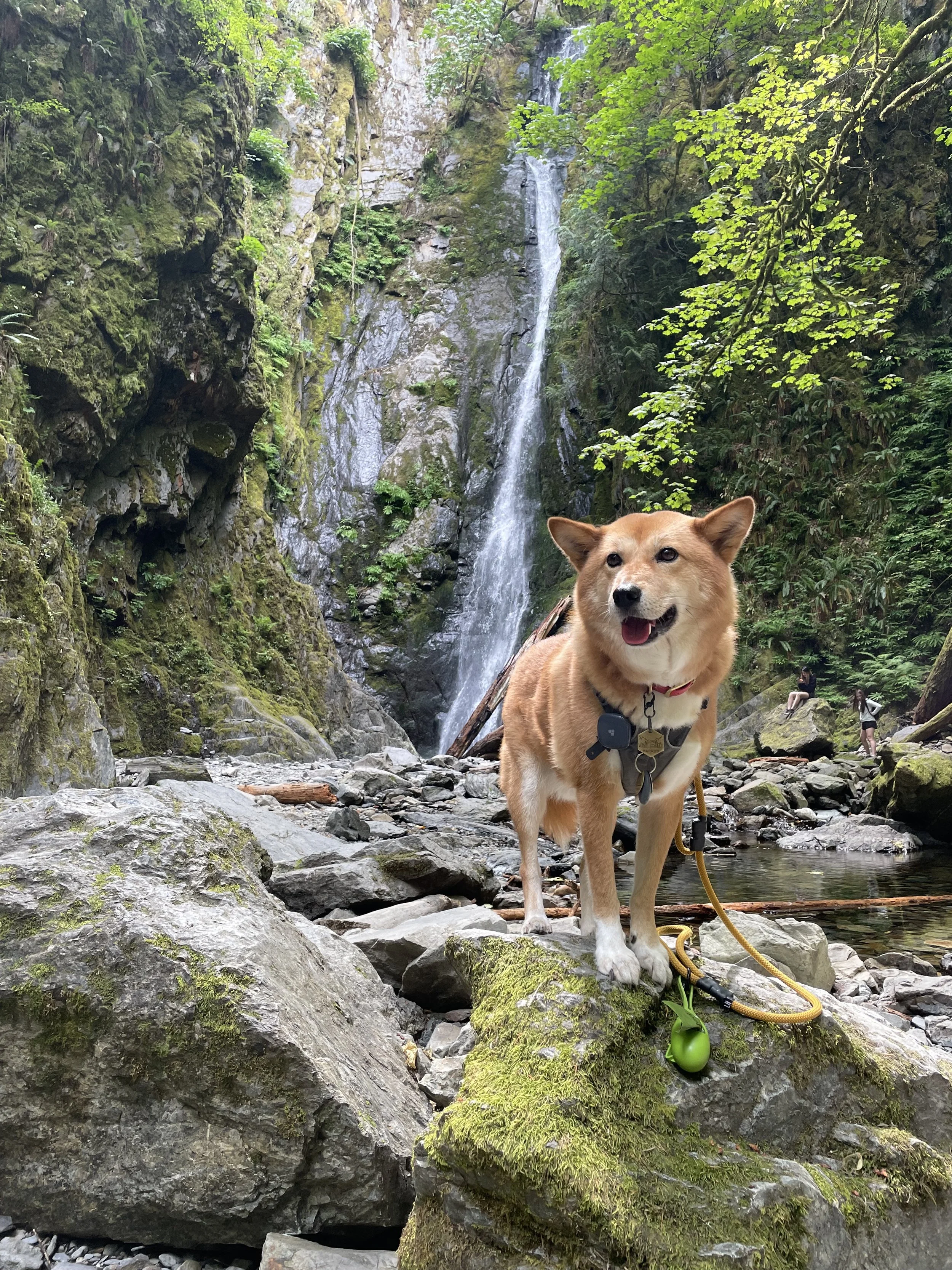 Niagara Falls Goldstream