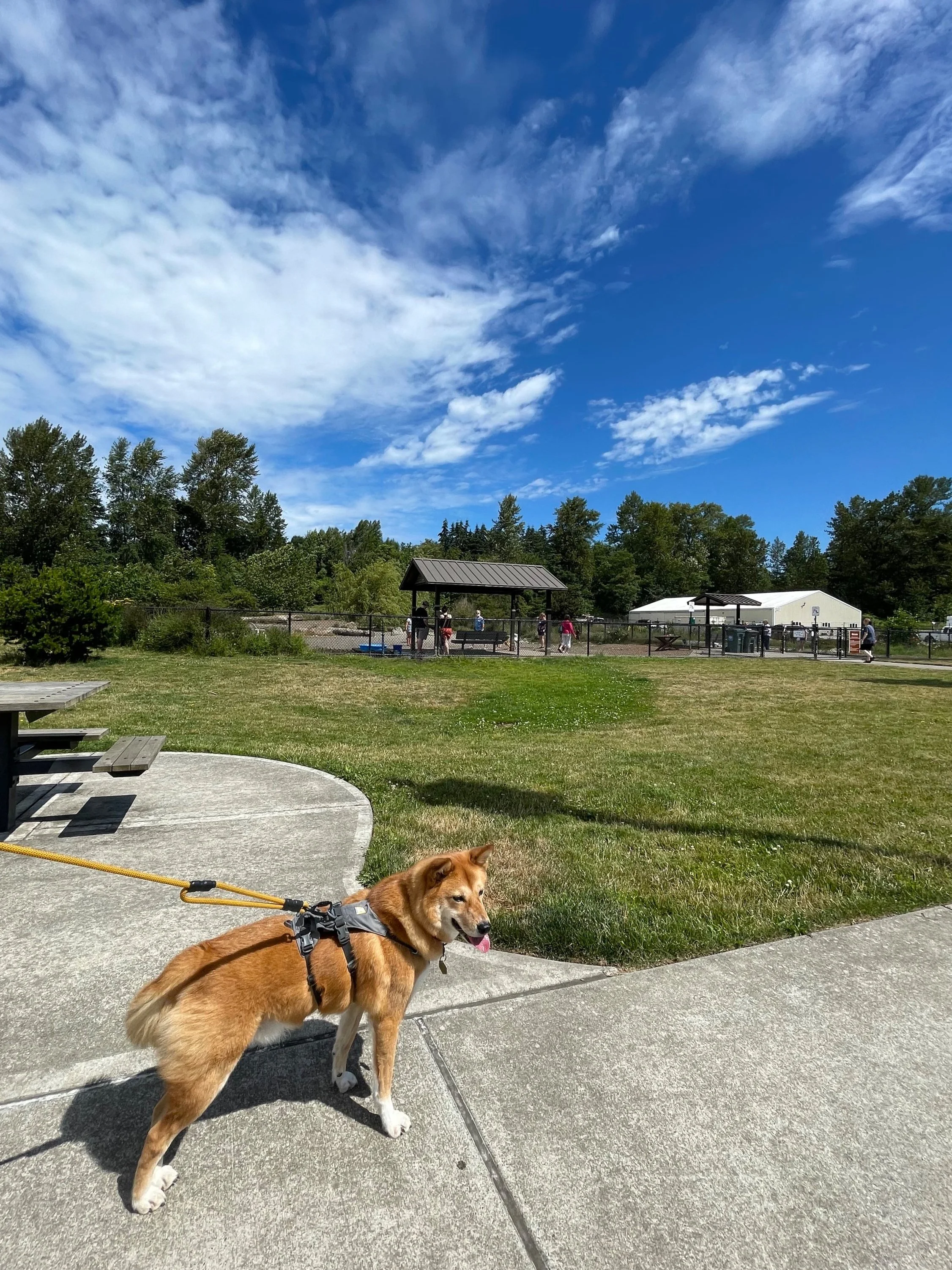 Squalicum Creek Park