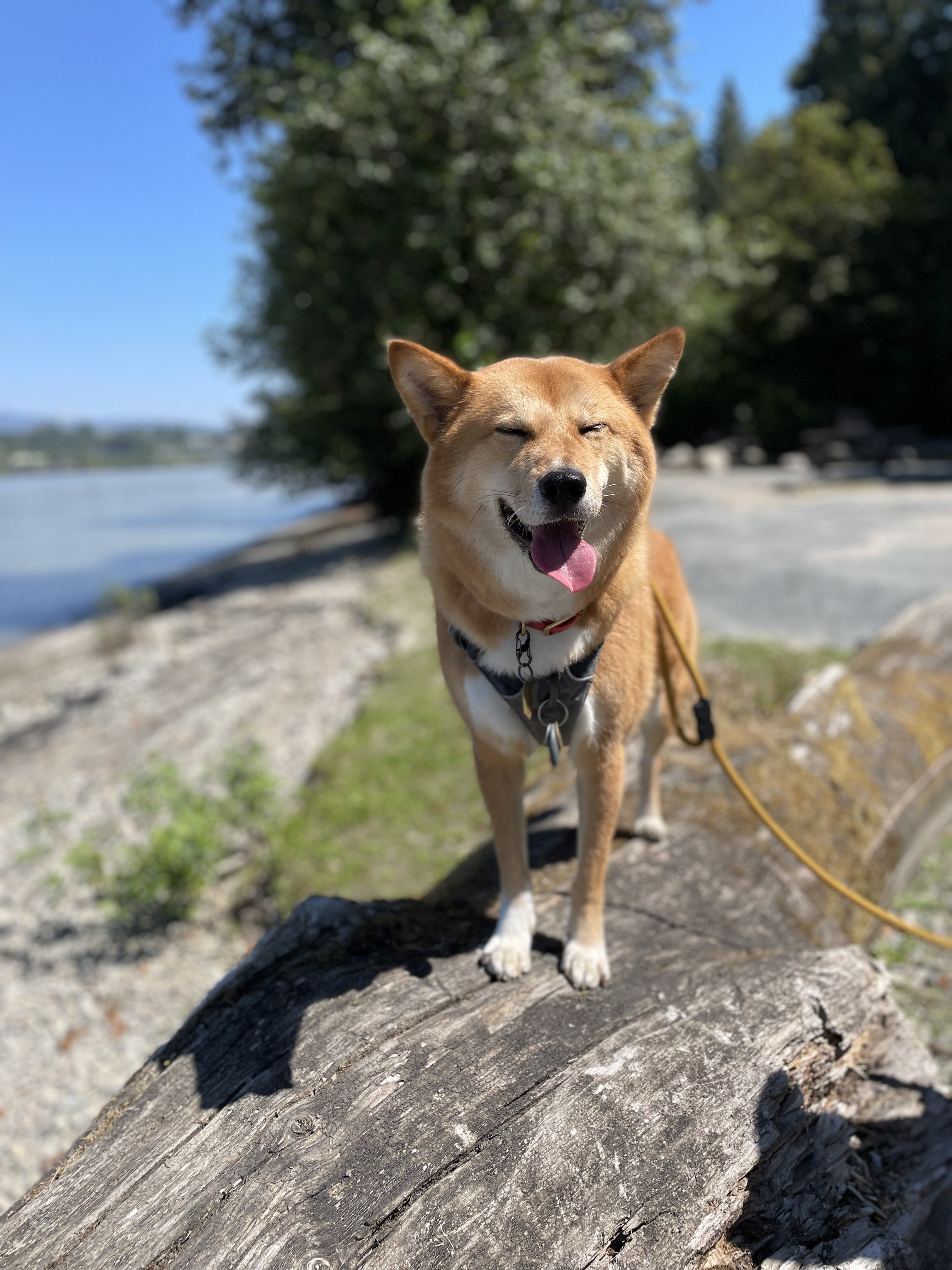 Derby Reach Regional Park & Edgewater Bar Campground