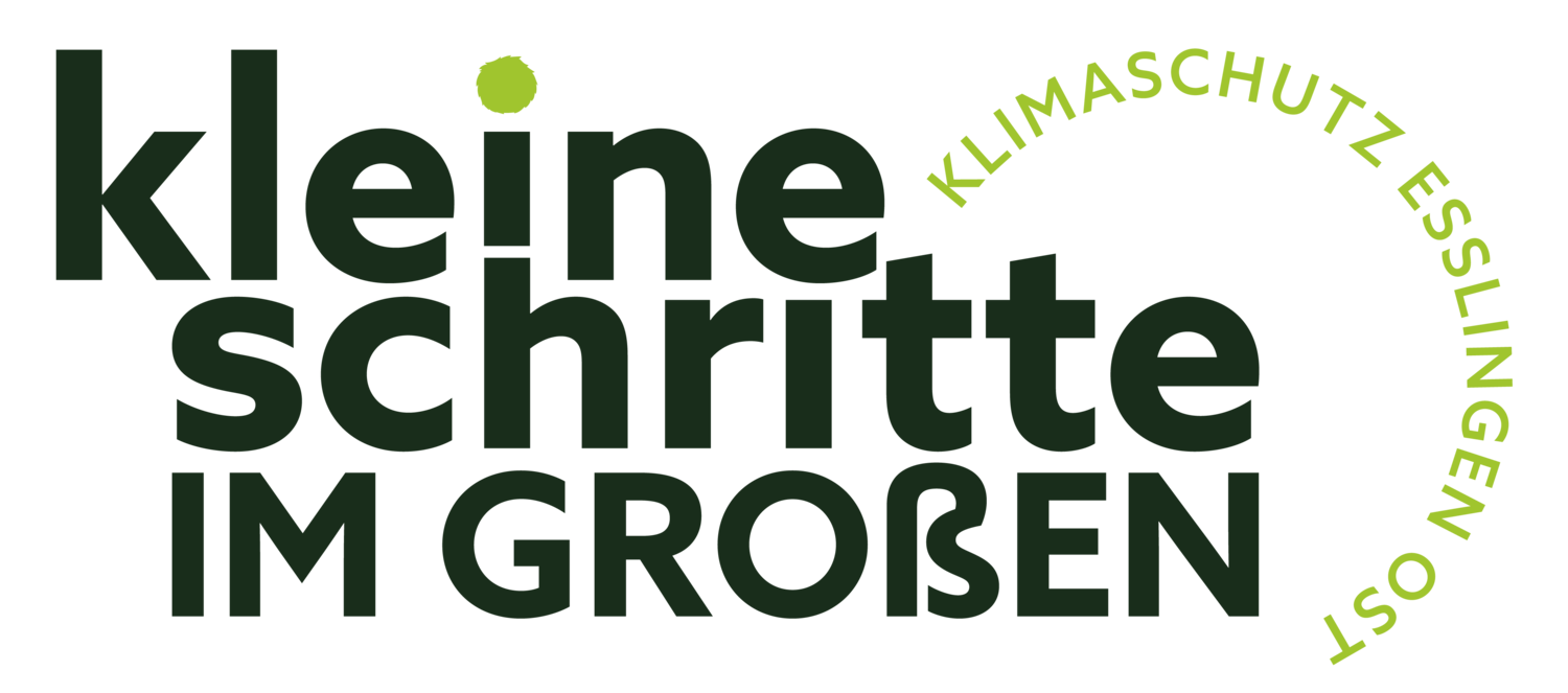 Kleine Schritte im Großen