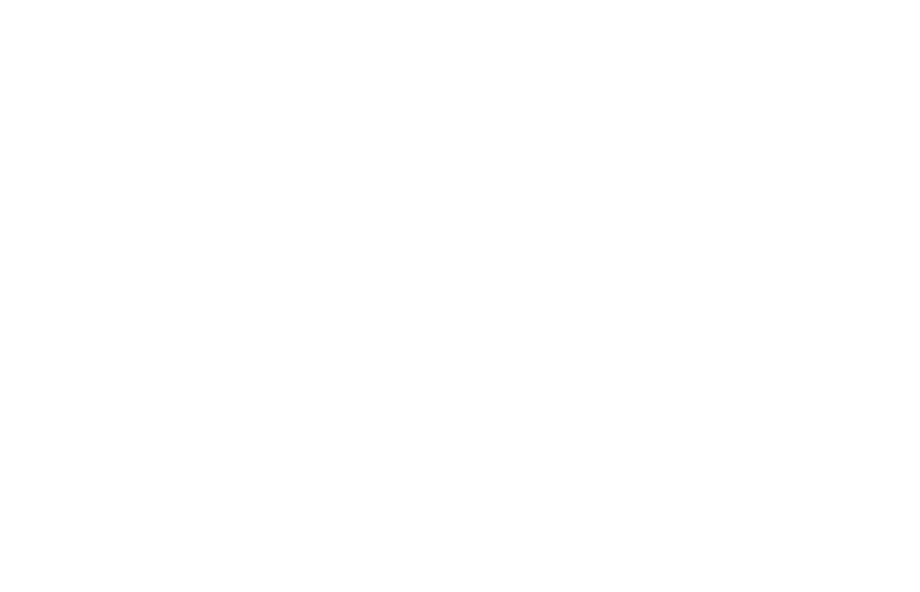 Purple City Music Festival 