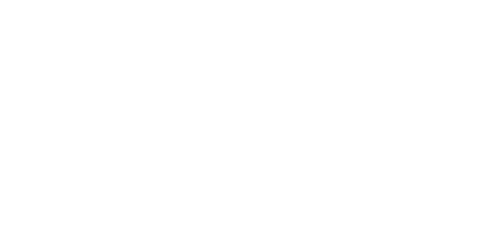 Allyson Senior Solutions