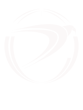 Omaira Falcon, The Bayou Fairy