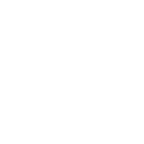 The Pearce Family Foundation