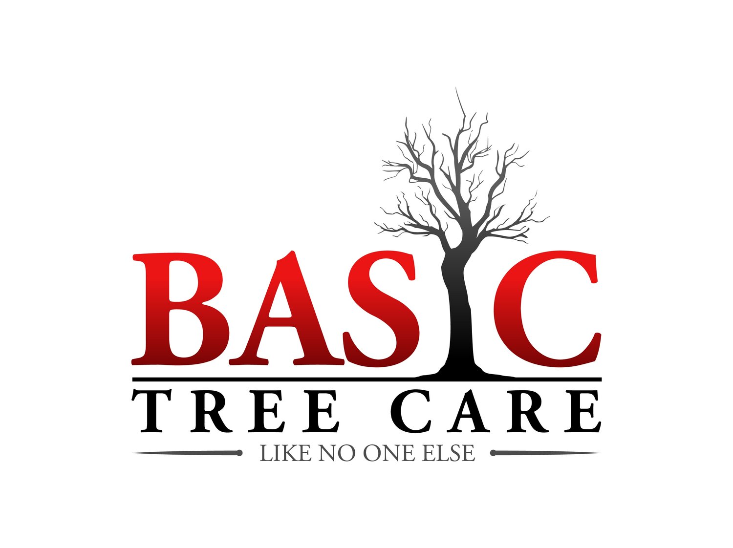 Basic Tree Care