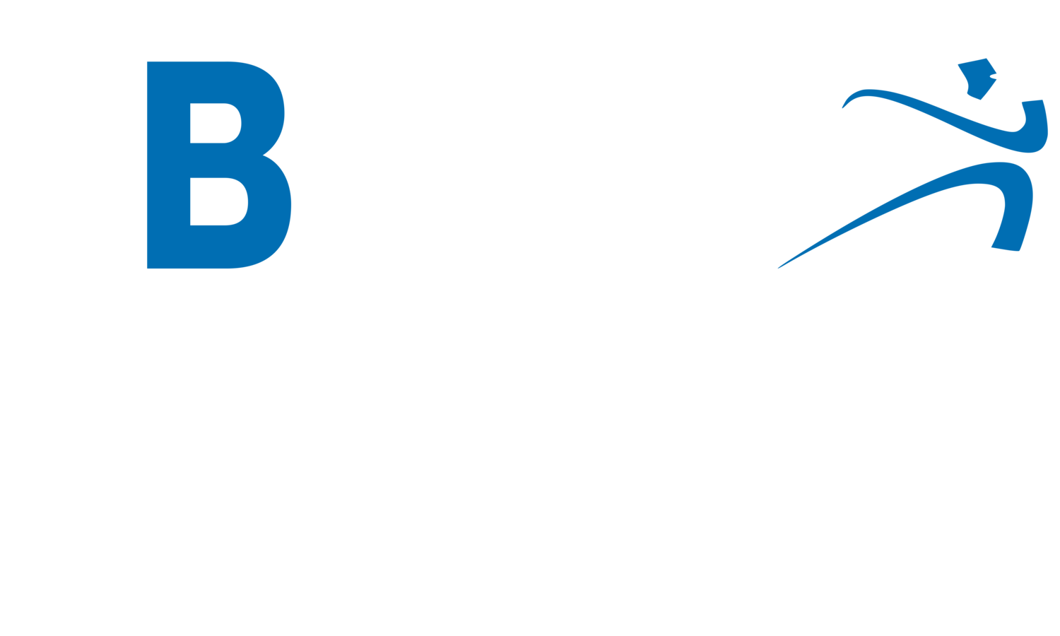 DER BODYFORMER