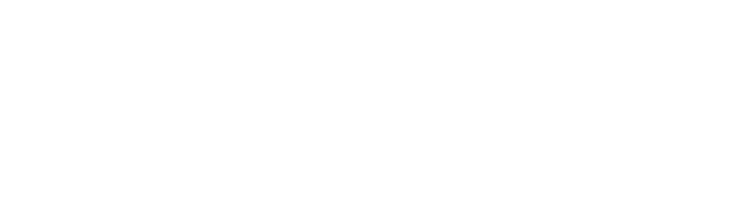 ButlerValet.com - Butler Seattle  Transportation Valet Rentals