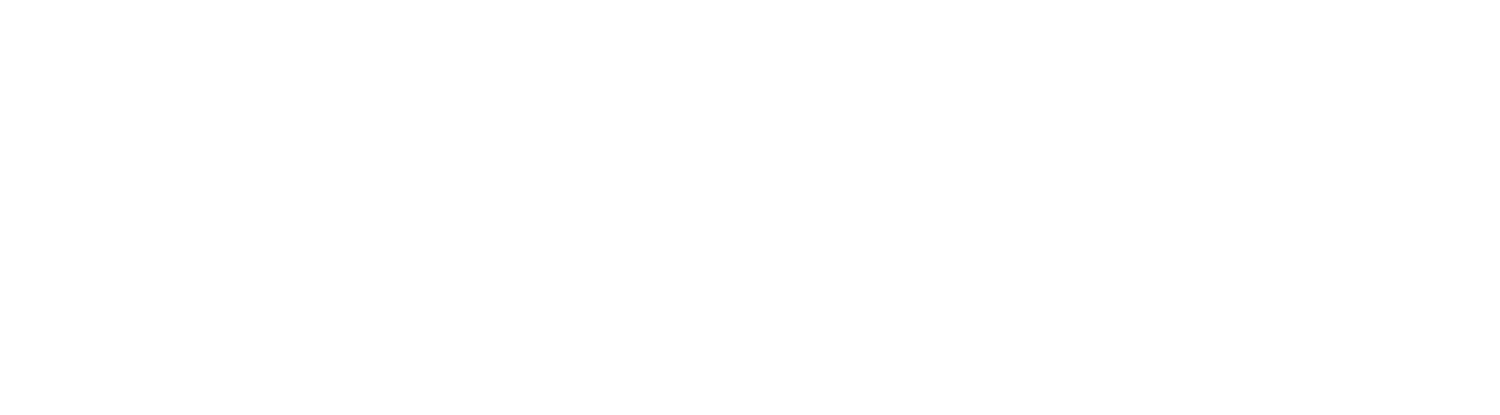 ButlerSeattle.com – Butler Seattle  Transportation Valet Rentals