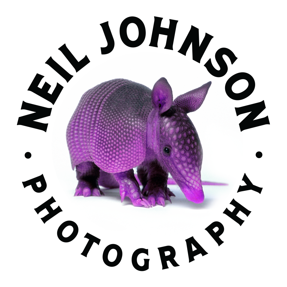 Neil Johnson Photography