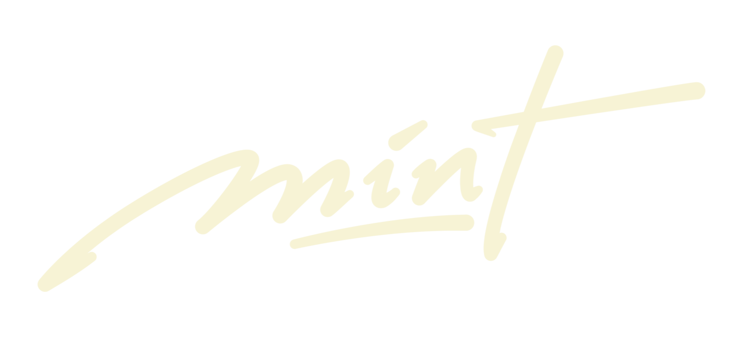 Mint DJ Events
