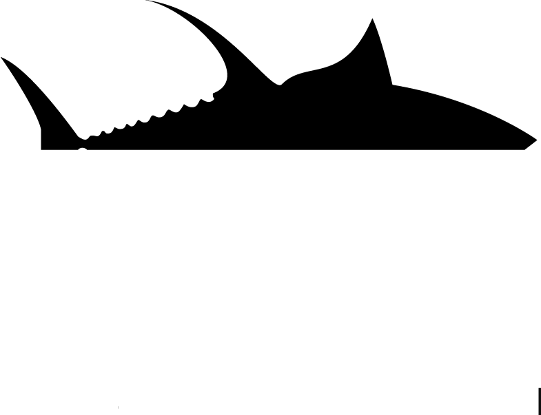 Best Marine Products