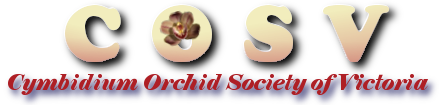 Cymbidium Orchid Society of Victoria