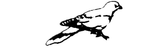 鸟2 rmc.png