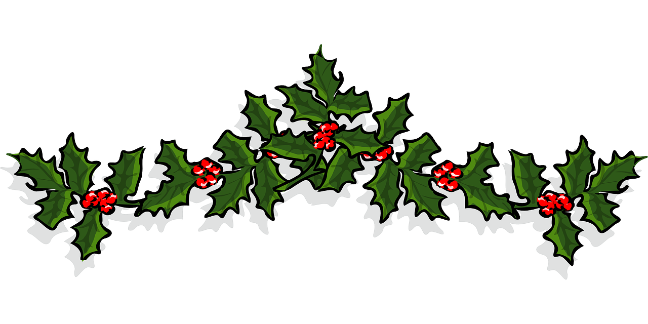 HOLLY-161840_1280.png.