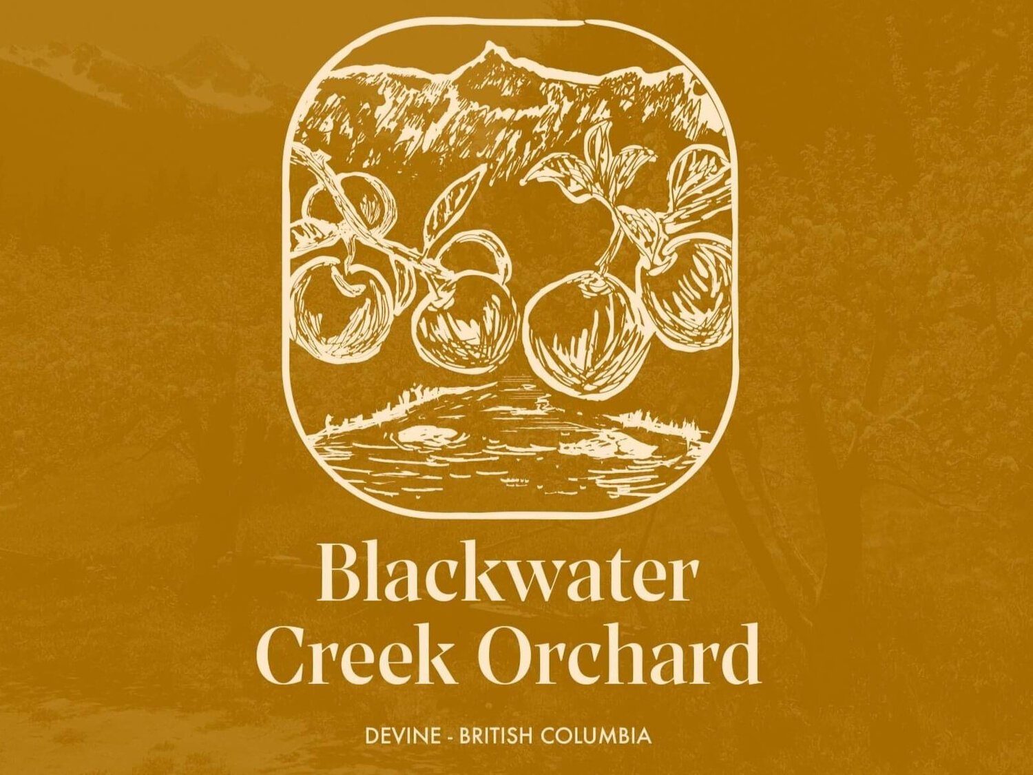 Blackwater Creek Orchard