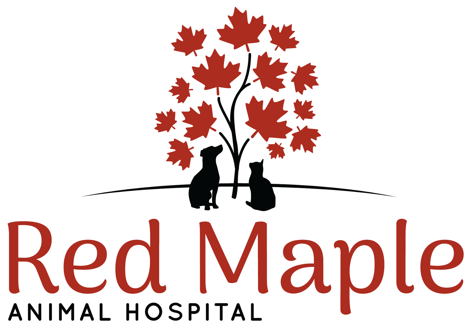 Red Maple Animal Hospital